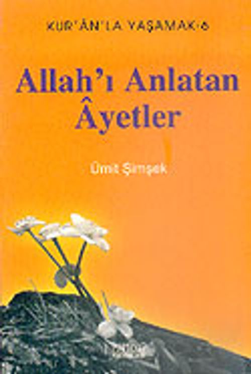 Allah'ı Anlatan Ayetler
