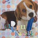 Yavru Köpek / Dokun ve Hisset