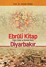 Ebruli Kitap Diyarbakır & Farklı Yüzler ve Renkler Kenti