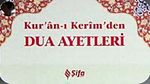 Kur'an-ı Kerim'den Dua Ayetleri (Kart)