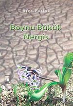 Boynu Bükük Nergis