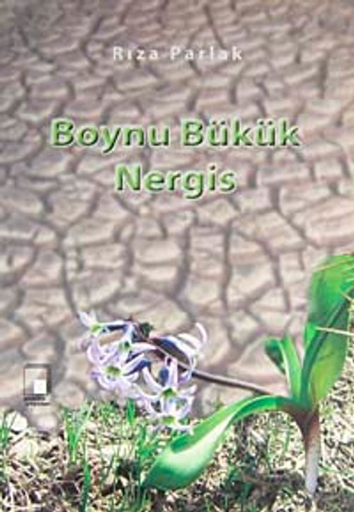 Boynu Bükük Nergis