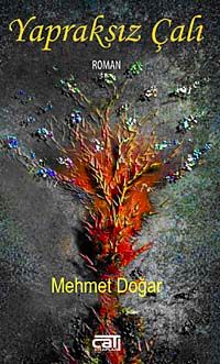 Yapraksız Çalı
