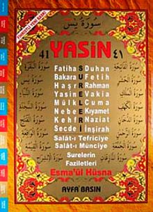 41 Yasin Arapça (Cami Boy-Şamua-4 Renk Kod:029)