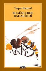 Bugünlerde Bahar İndi (Karton Kapak)