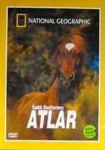Atlar Sadık Dostlarımız (DVD)