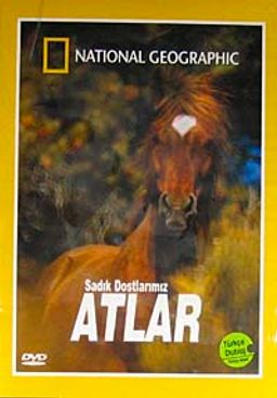 Atlar Sadık Dostlarımız (DVD)
