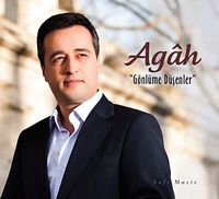 Gönlüme Düşenler