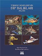 Türkiye Denizlerin Dip Balıkları Atlası
