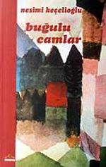 Buğulu Camlar