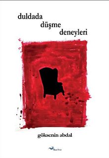 Duldada Düşme Deneyleri