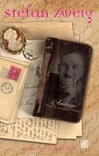 Amerigo & Tarihi Bir Yanılgının Hikayesi