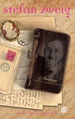 Amerigo & Tarihi Bir Yanılgının Hikayesi