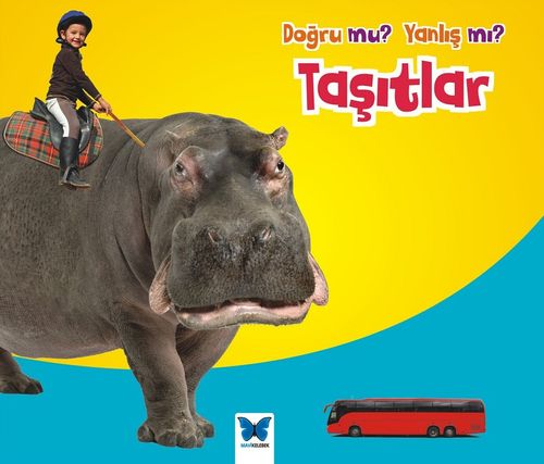 Taşıtlar / Doğru mu? Yanlış mı?