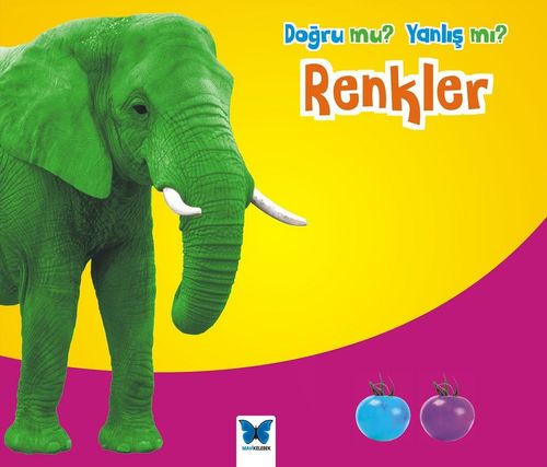 Renkler / Doğru mu Yanlış mı? 