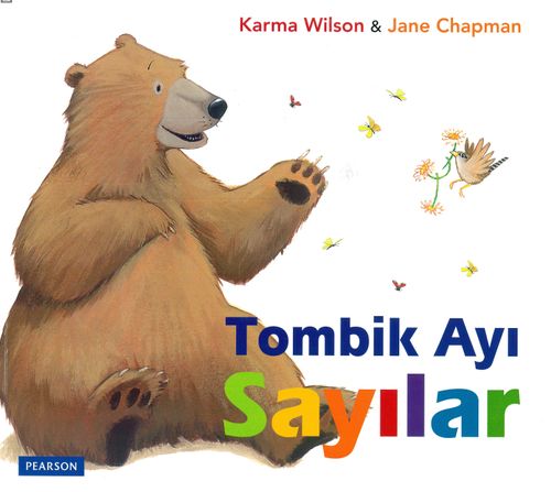 Tombik Ayı / Sayılar