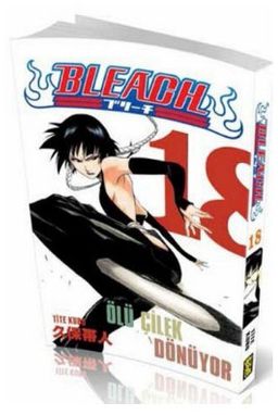 Bleach 18. Cilt Ölüm Çileği Dönüyor