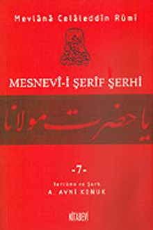 Mesnevi-i Şerif Şerhi 7
