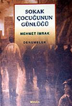 Sokak Çocuğunun Günlüğü