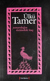 Yanardağın Üstündeki Kuş