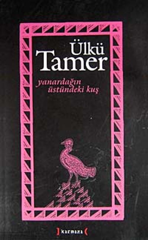 Yanardağın Üstündeki Kuş