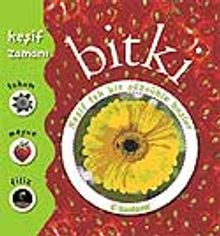 Okul Öncesi Şimdi Keşif Zamanı (Bitki)