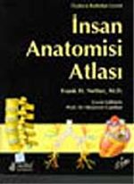 İnsan Anatomi Atlası/ Netter