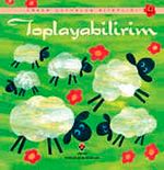Toplayabilirim