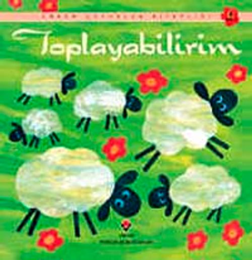 Toplayabilirim