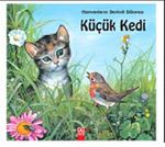 Küçük Kedi