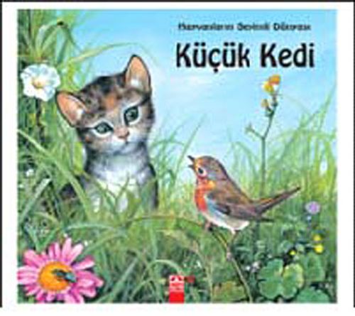 Küçük Kedi