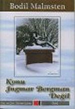 Konu Ingmar Bergman Değil