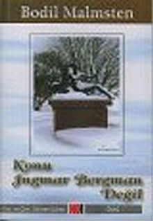 Konu Ingmar Bergman Değil