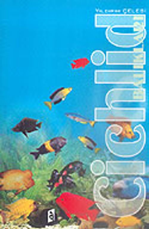 Cichlid Balıkları
