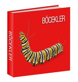 Böcekler