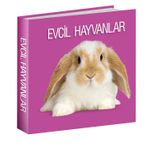 Evcil Hayvanlar 