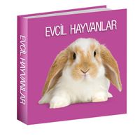 Evcil Hayvanlar 