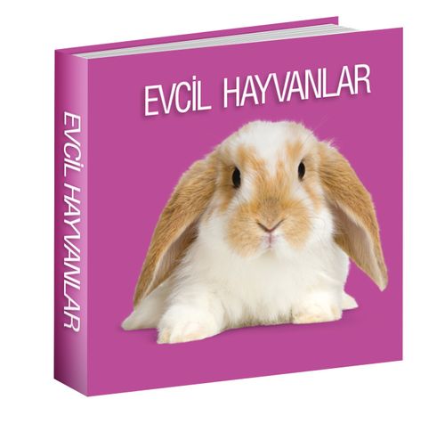 Evcil Hayvanlar 