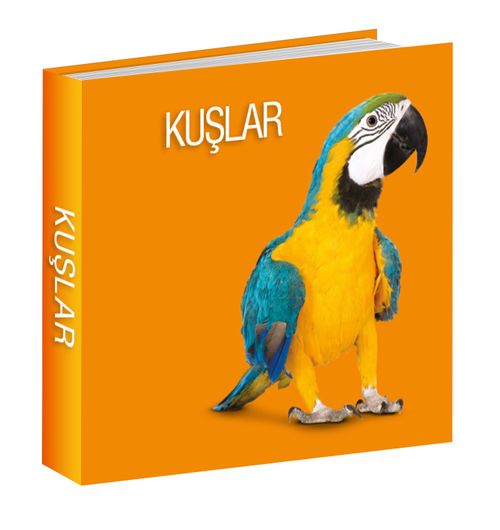 Kuşlar
