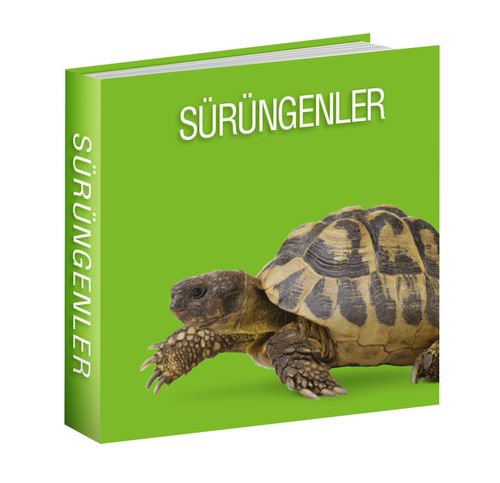 Sürüngenler