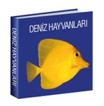 Deniz Hayvanları