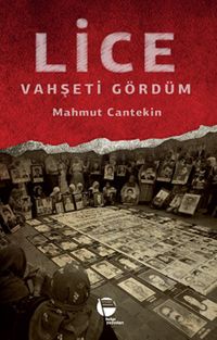Lice & Vahşeti Gördüm