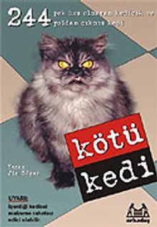 Kötü Kedi