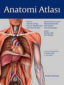 Anatomi Atlası