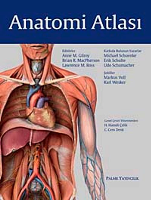 Anatomi Atlası