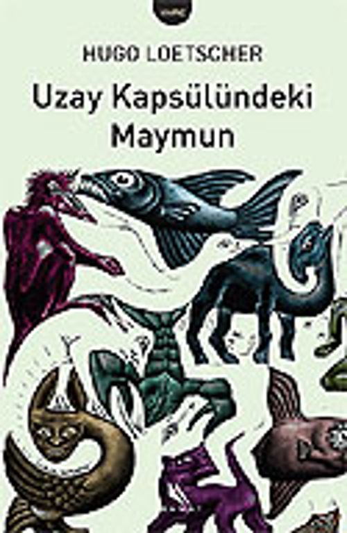 Uzay Kapsülündeki Maymun