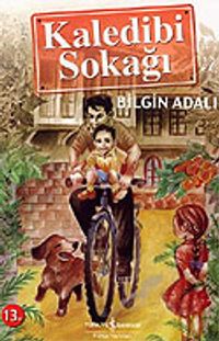 Kaledibi Sokağı