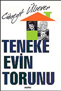 Teneke Evin Torunu