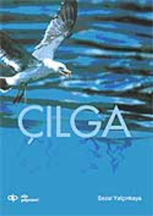 Çılga