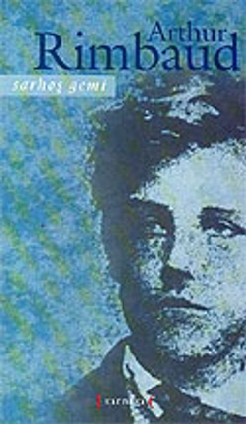 Sarhoş Gemi